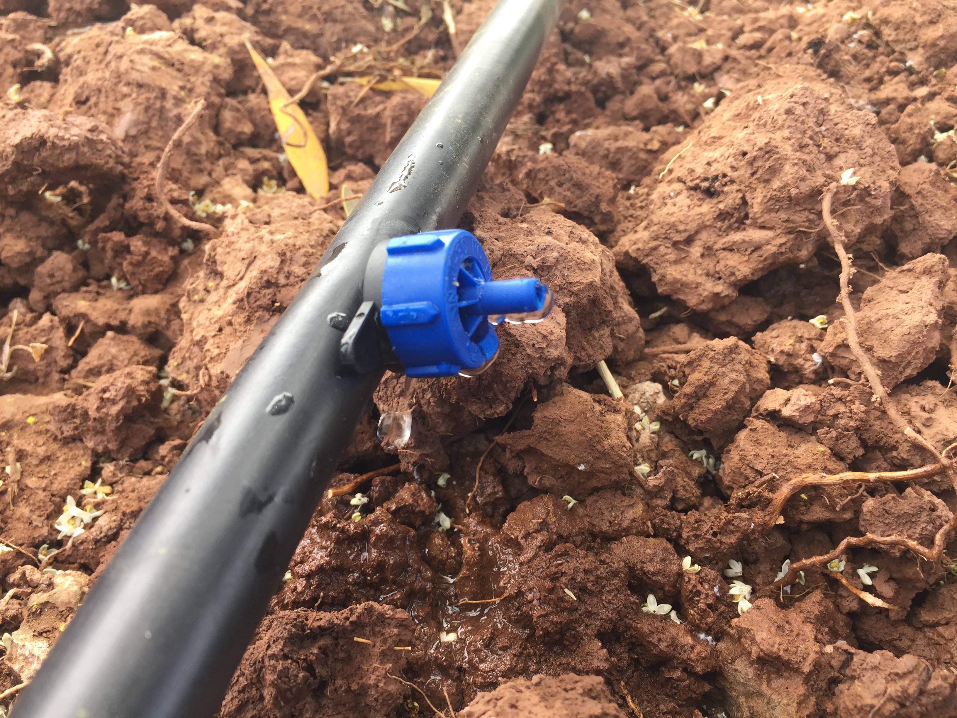 Ultra-Low-Energy Drip Irrigation helps small farmers save water, energy